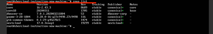 ../_images/s__check-migration-with-command-snap-list.png